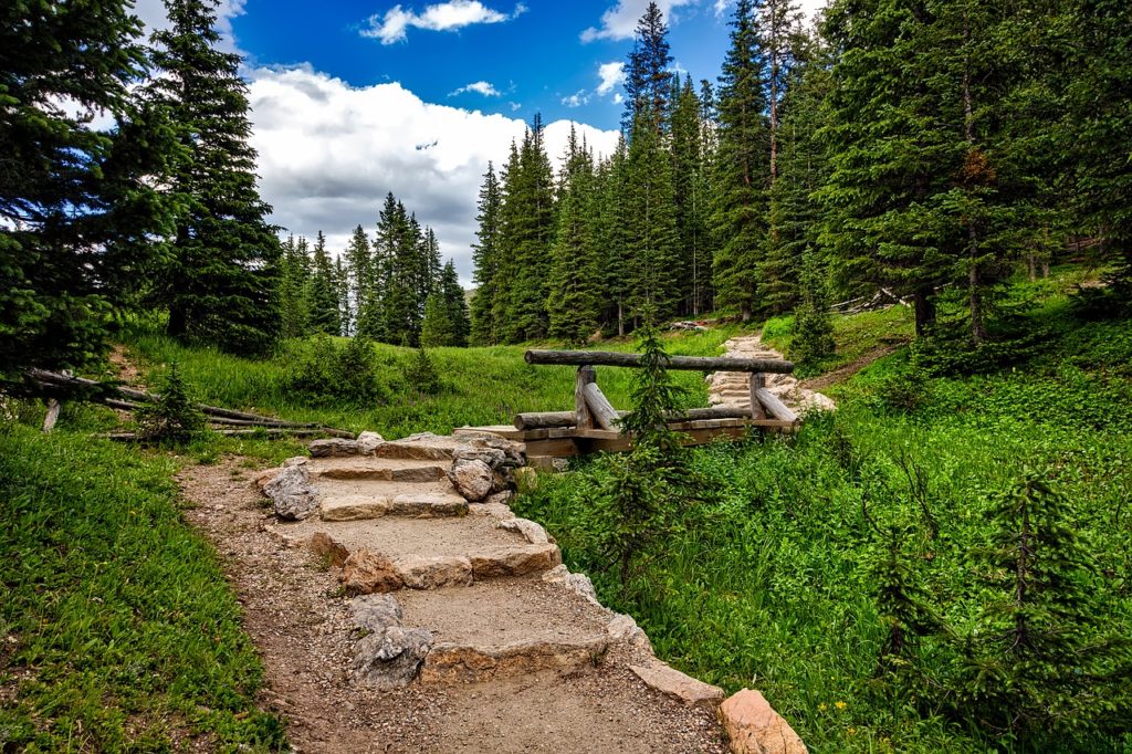A path near one of our Rocky Mountain National Park Vacation Homes