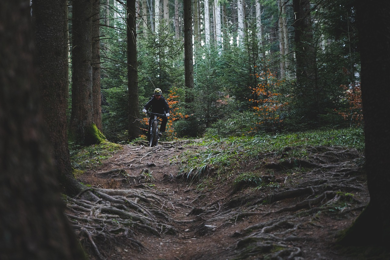 A man biking through a dark forest